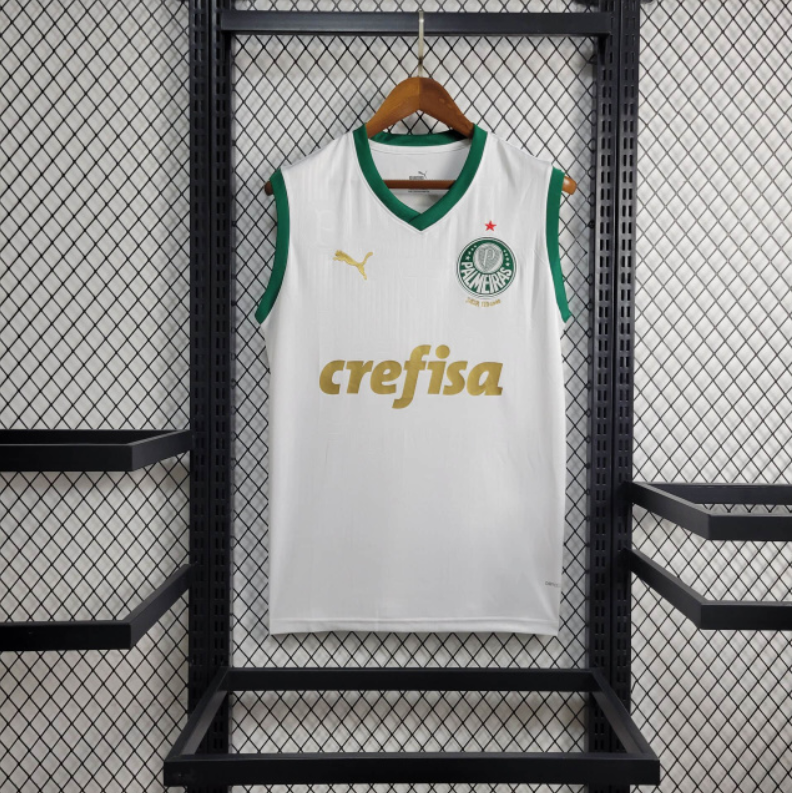 Camisa Palmeiras 24/25 - Torcedor Masculina - Regata