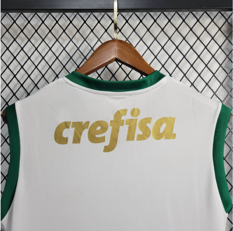 Camisa Palmeiras 24/25 - Torcedor Masculina - Regata