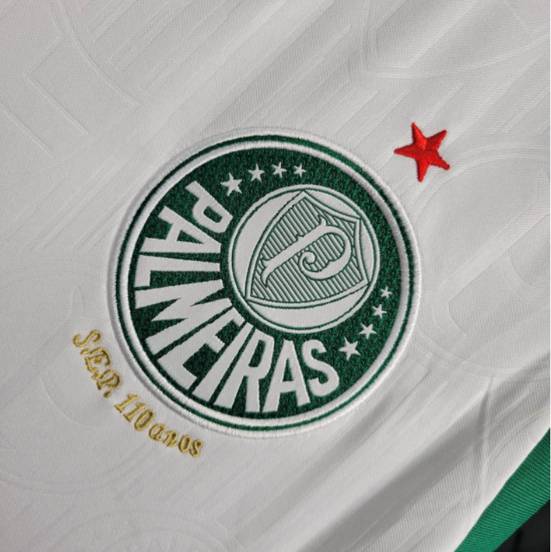 Camisa Palmeiras 24/25 - Torcedor Masculina - Regata